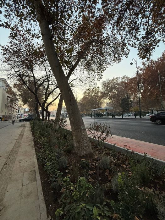 Нежилое помещение 1 линия Шото Руставели