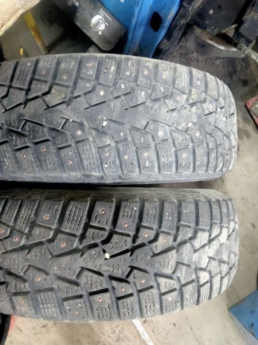 Продам два болона