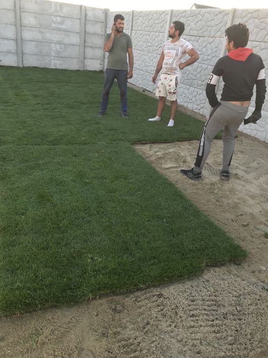 Gazon   Rulou   Sisteme  de  irigatii