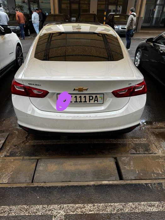 Малибу-2    2,4 ок жемчук 2018й краска тозза