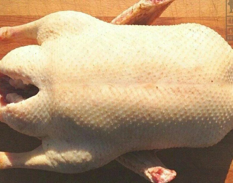 Продам домашних гусей