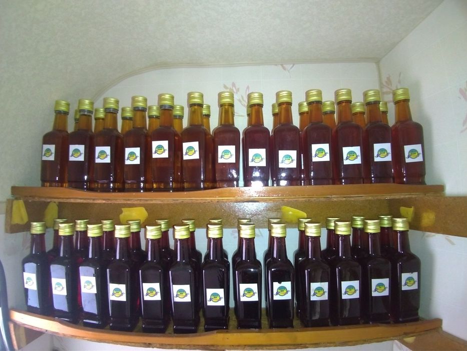 Vând sirop (brad/soc/păpădie) ambalat la sticla de 250 ml.