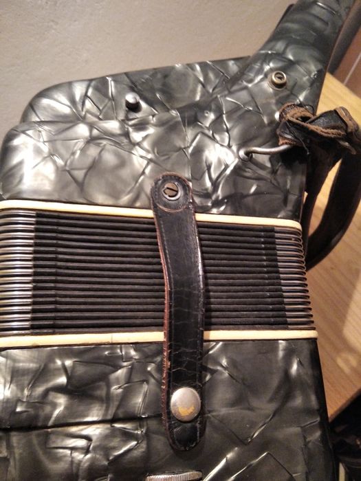 Acordeon Hohner , Parrot, Weltmeister