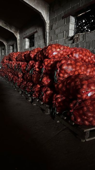 Продаётся картофель.отличного качества.