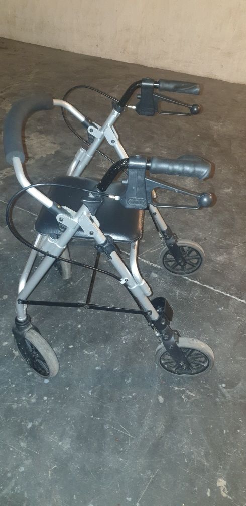 Carucior bătrâni