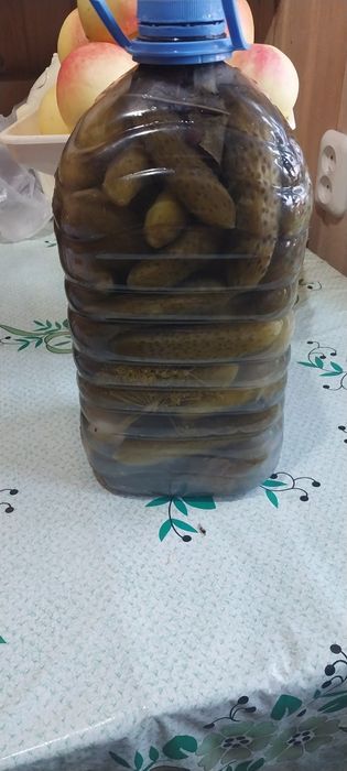 Огурцы ферментированные, без уксуса и без сахара.