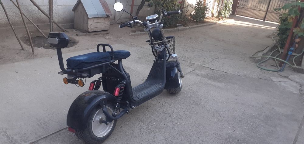 Moped!! Nou-Nout