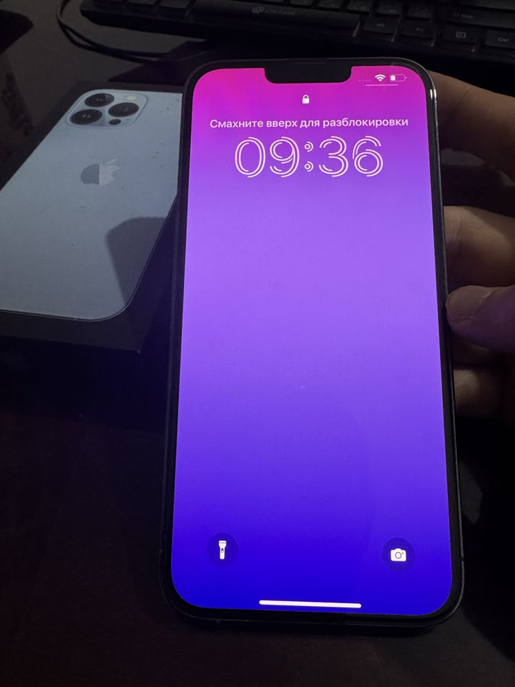 iPhone 13 Pro Max
