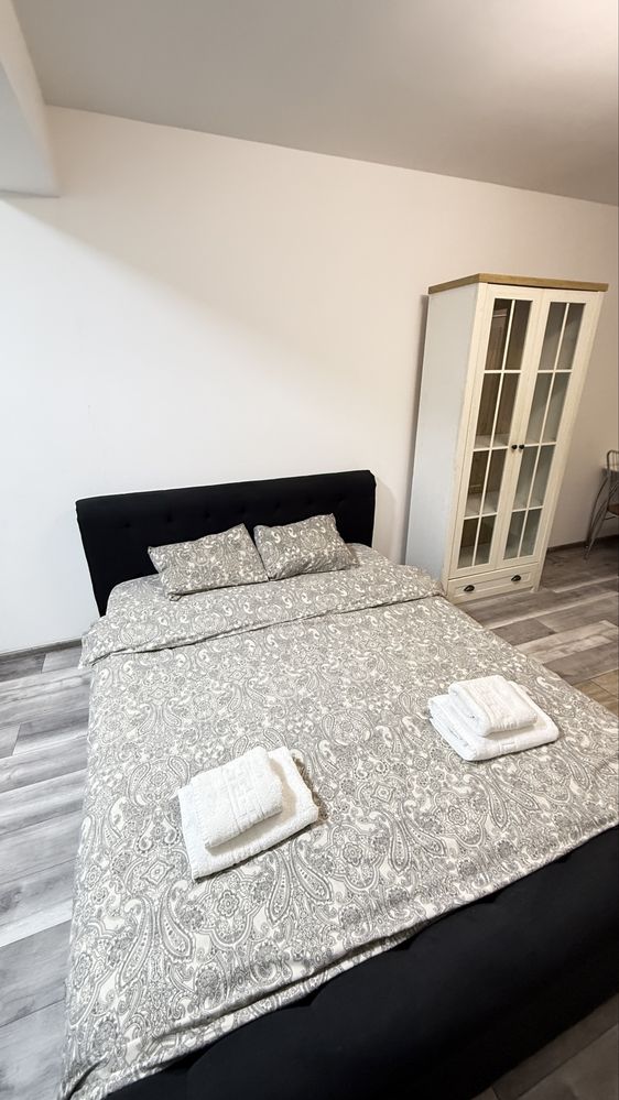Cazare in Regim Hotelier ap1-2 cam Iasi Centru Palas