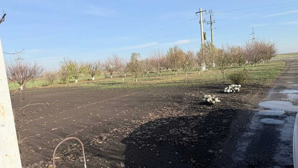 Teren non-agricol 5000 mp