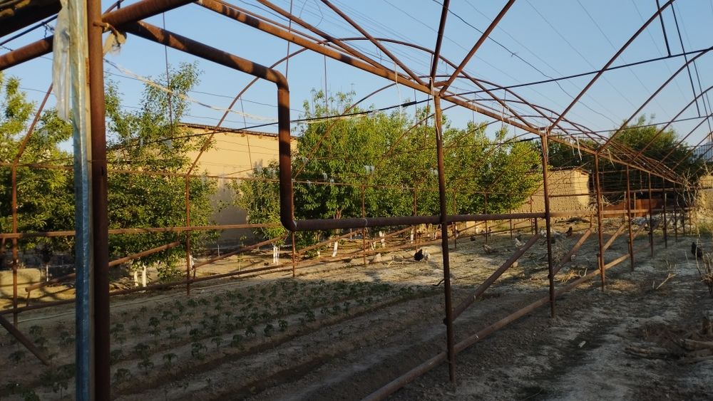 Parnik Teplitsa Иссикхона Парник Теплитса Issiqxona
