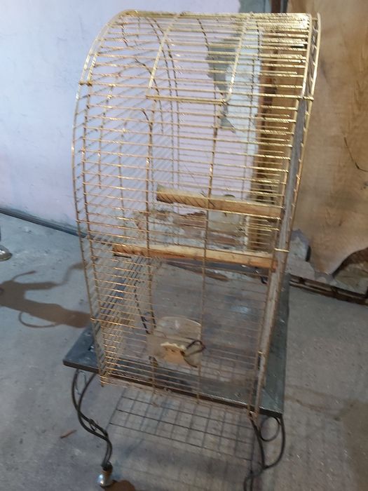 Клетка за голям Папагал