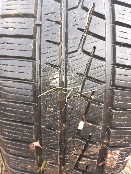 Yokohama winter  r 17