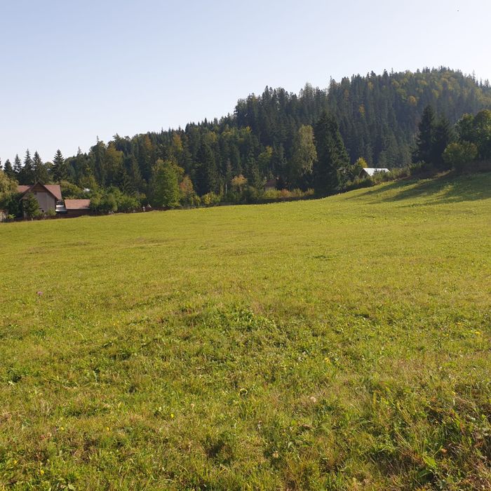 Vand teren intravilan in Ceahlău(Durău)