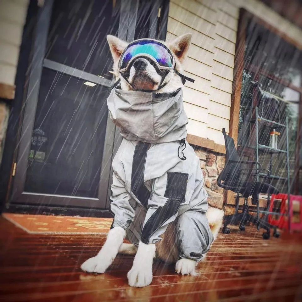 Дъждобран - яке за куче