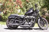 Harley Davidson Sportster XL883N IRON