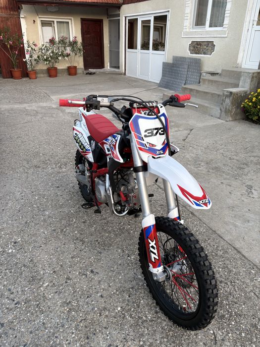 Vand xtl 125cc 12 cai pret in lei