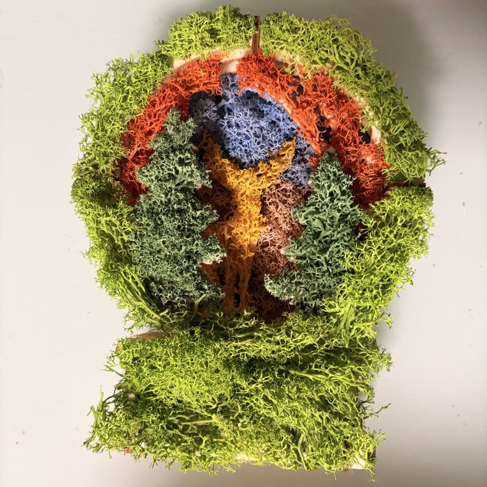 Lumanari din soia si licheni stabilizati