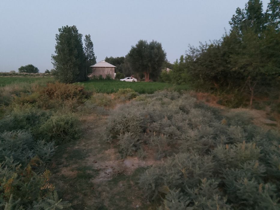 Ishtxon kuktepa yer