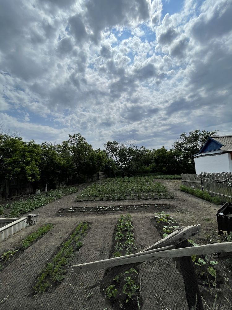 Продам дом в послеке бестобе