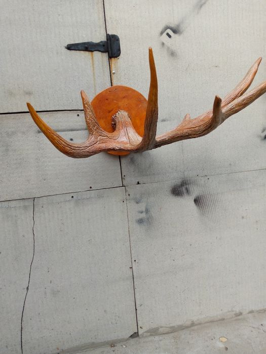 Продам на стену рыбалка