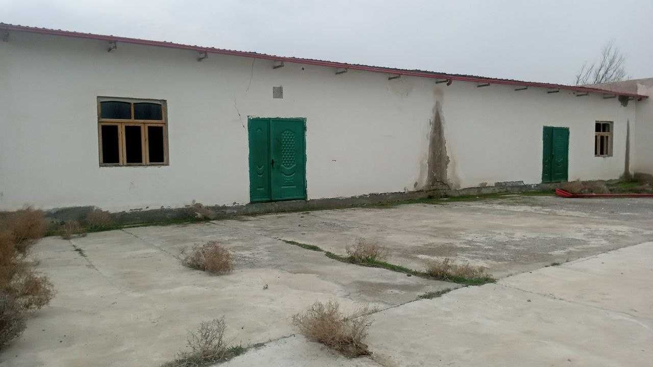 Sirdaryo viloyati, Yangiyer shahrida Chinni sex binosi sotiladi