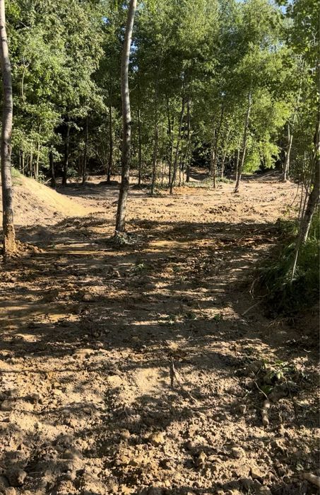 Teren 52 ari Marginea intabulat acte la zi