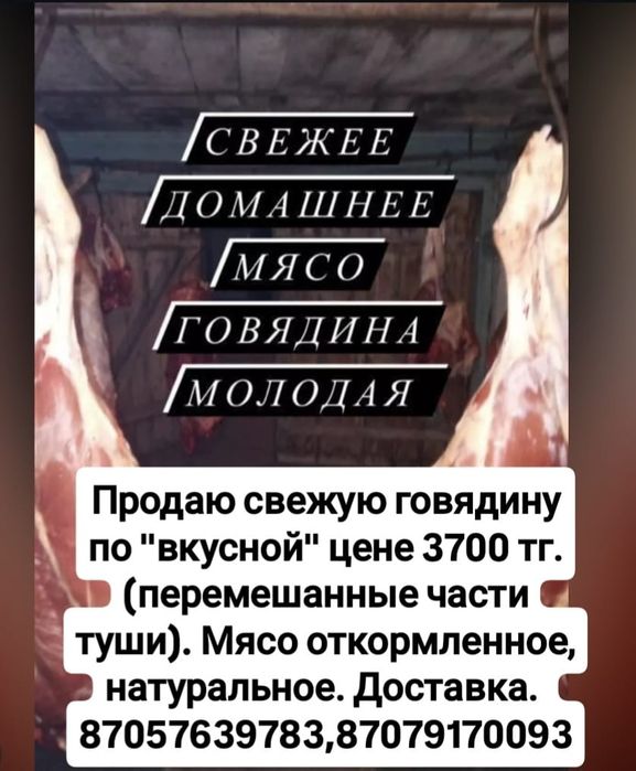 Продам мясо молодой говядинв