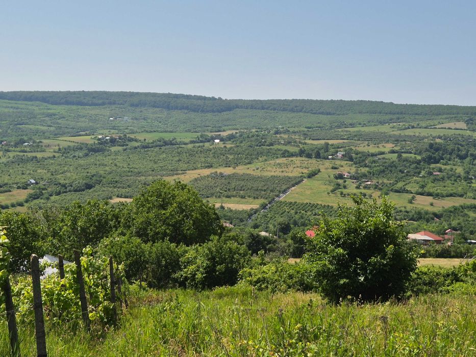 Teren intravilan Tomești-Goruni