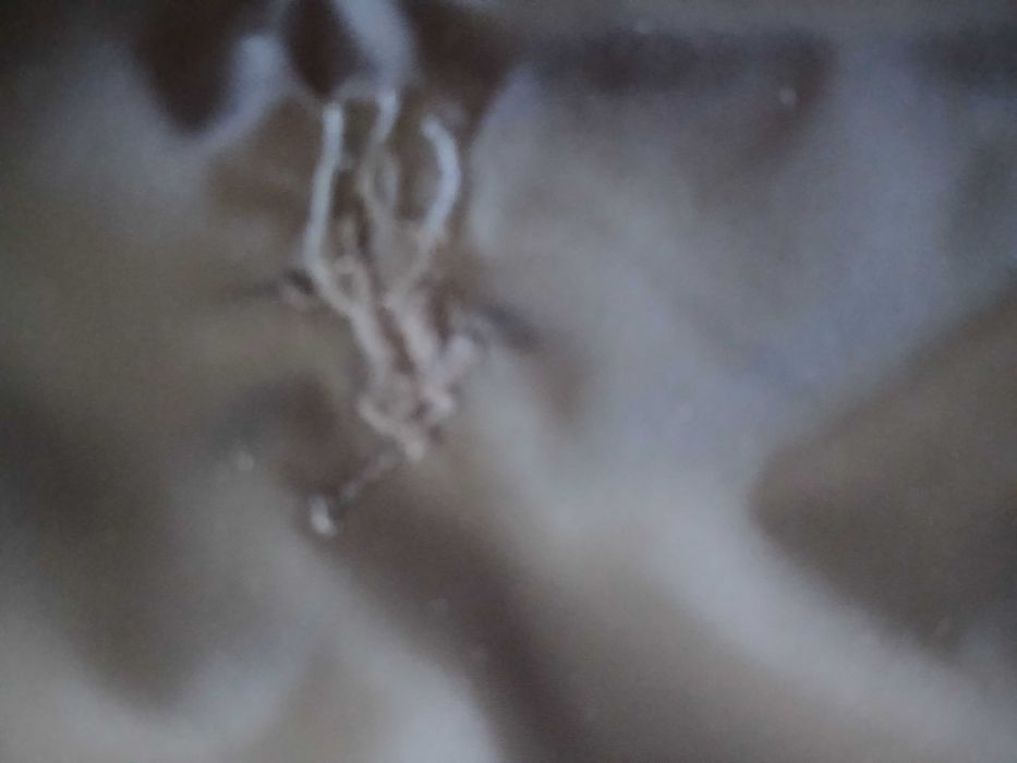 Мъжка пухена грейка Polo Ralph Lauren 5XL