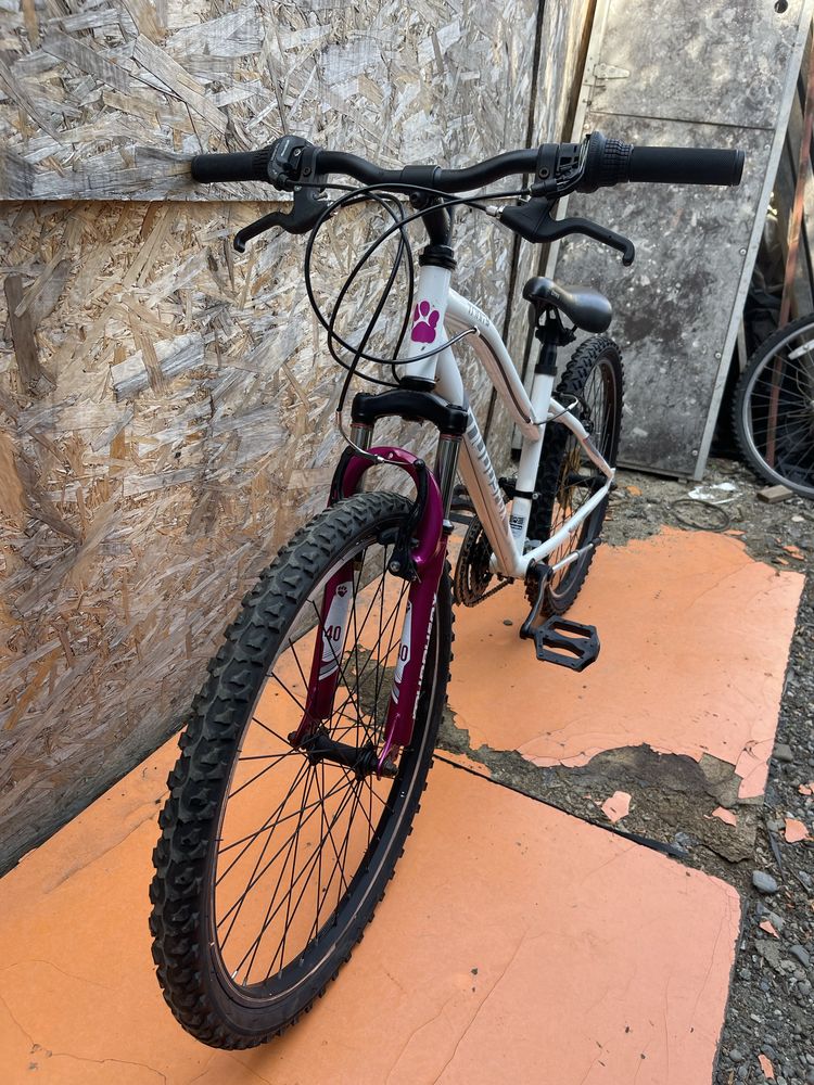 Bicicleta muddyfox roti 24”