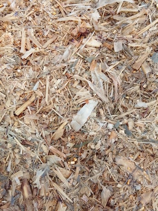 Продам силос оптом