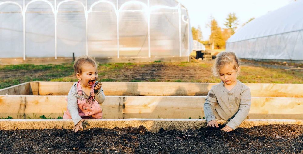 Gradina Urbana in Bucuresti, sect 3. Cultivi ce vrei TU. Bio, Eco