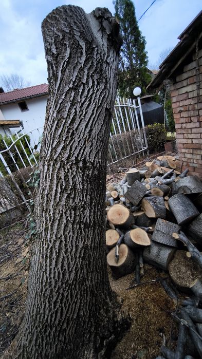 Орех дънер за мебел