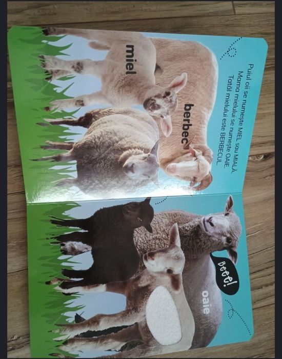 Carte cartonata bebeluși Atinge și Invata