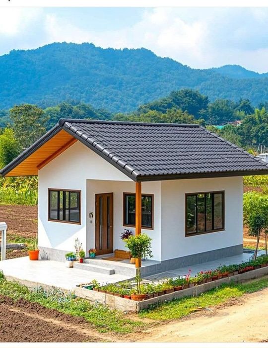 Case pe structură metalică învelit cu panouri sandwich 15 cm grosime