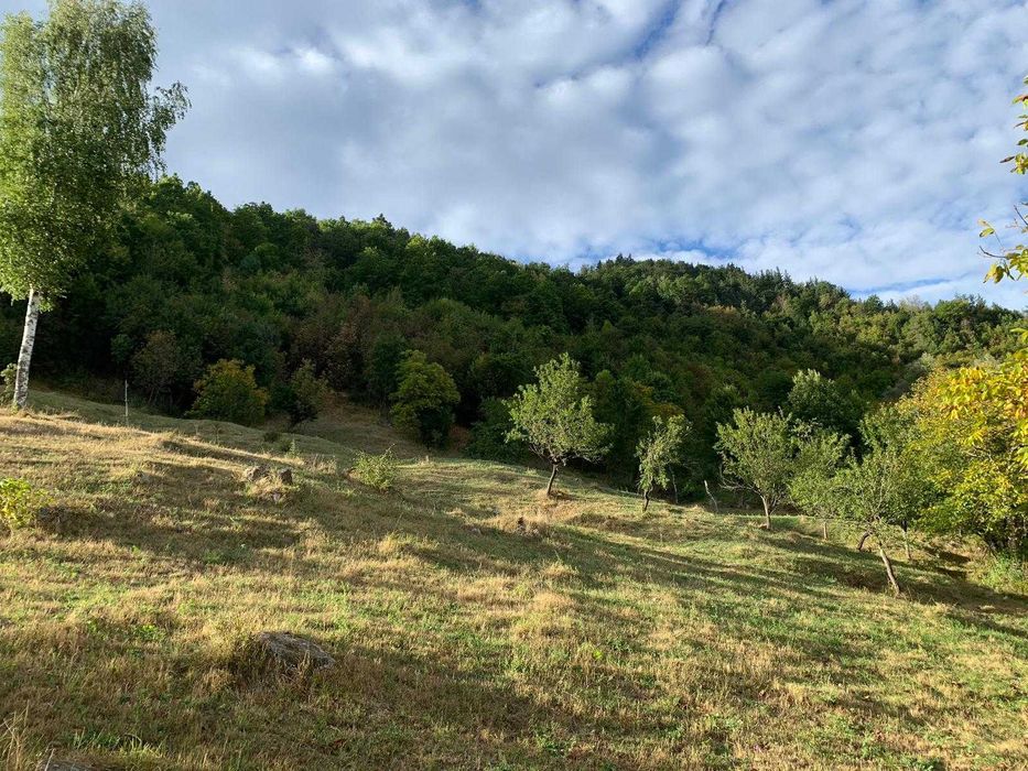 Vand teren zona Nehoiu , Basca Rozaliei , Vinetisu