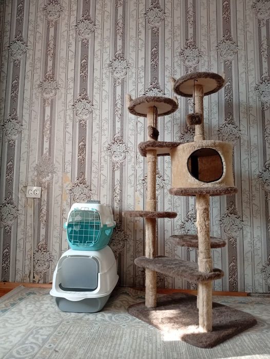 Лоток для кота,бокс для переноски кота, кошачий игровой комплекс