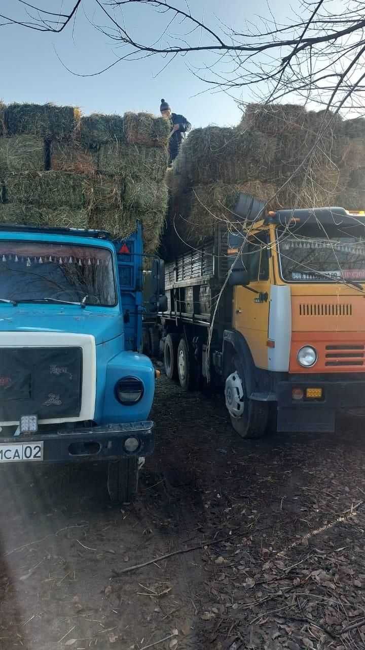 Сена Клевер Люцерна. Продаем сена в ват