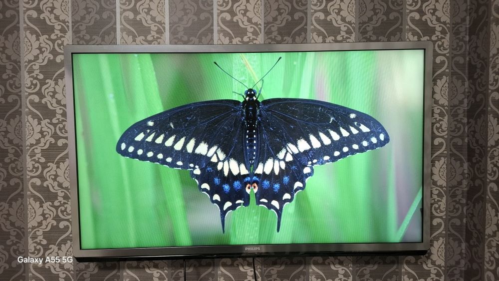 Телевизор philips 43