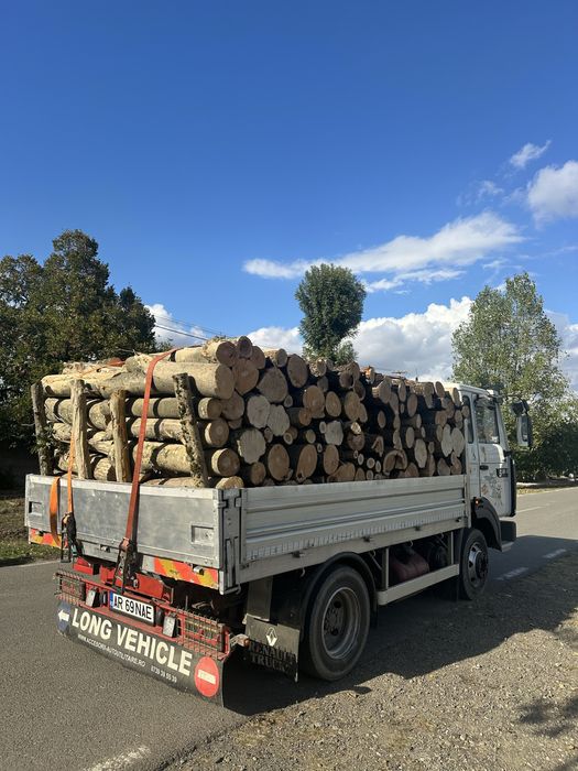 Lemne de foc esenta tare