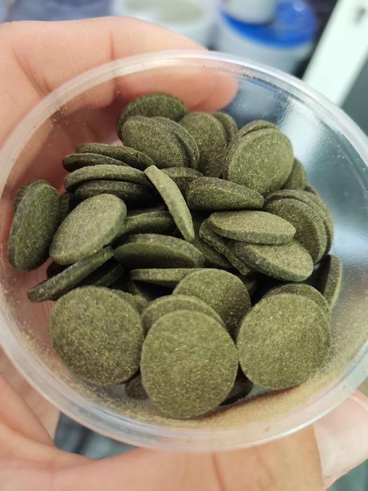 Tablete de spirulina pentru creveti ancistrusi etc.