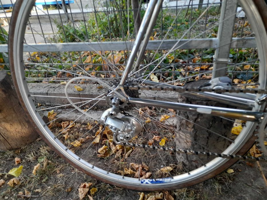 Cursiera clasica Hans Lutz campagnolo