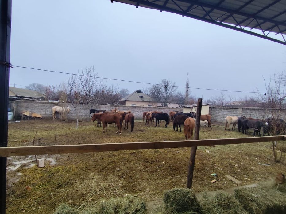 Кунан Баитал бар