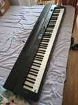 Vand orga model sp5309