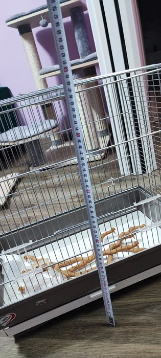 Colivie păsări 51x29x47 cm