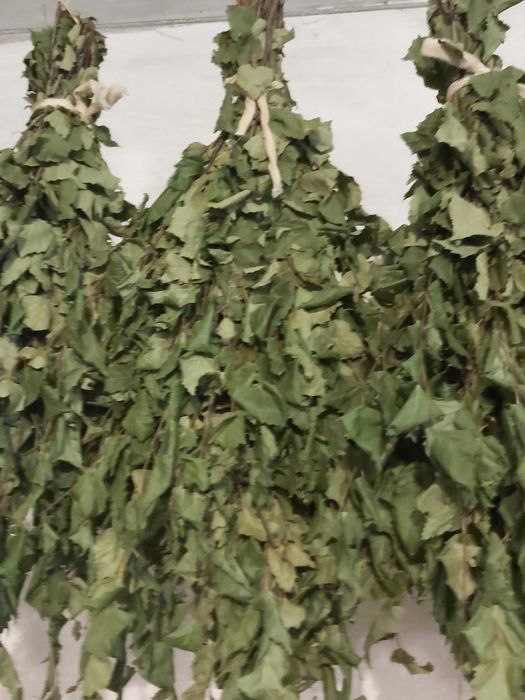 Веники березовые для бани