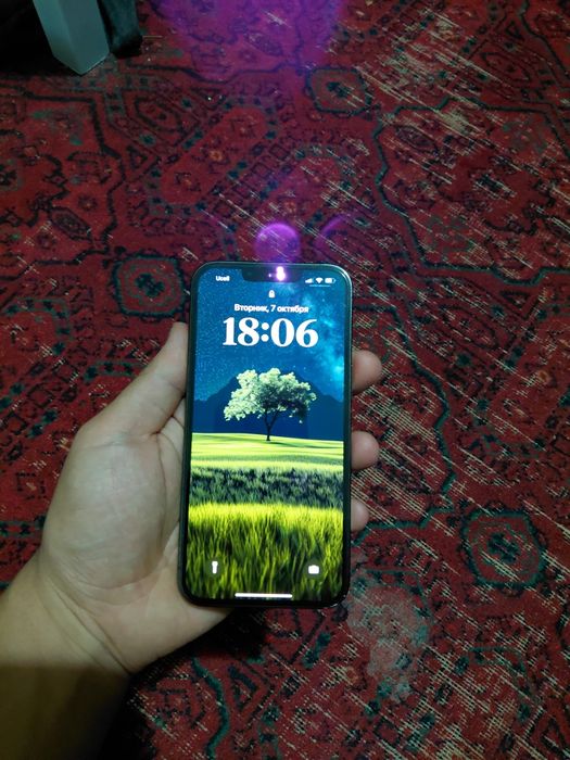 Iphone 13 pro ideal