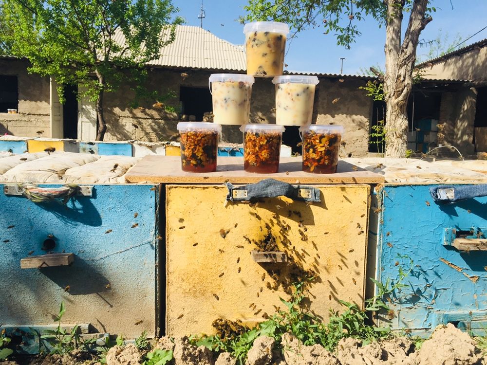 Пчелопакет/пчелы Shymkent.honey