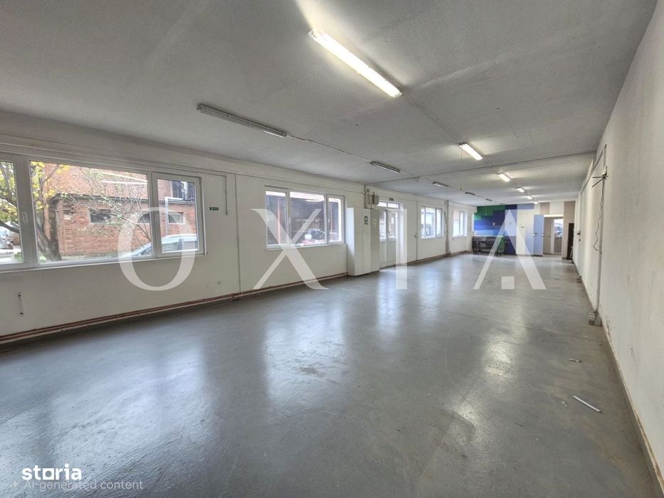 AX1157 Spatiu Industrial, B-dul 16 Decembrie, Activitati Productie